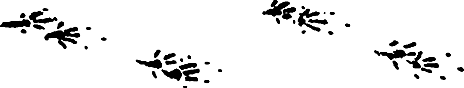 Миры Роджера Желязны. Том 28 - i_008.png