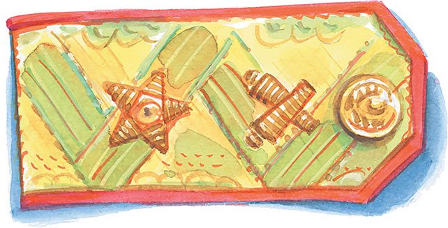 Олимпиада для Чебурашки, или Чебурашка едет в Сочи - i_069.jpg