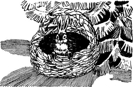 Пушистый гость (издание 1959 года) - i_049.png