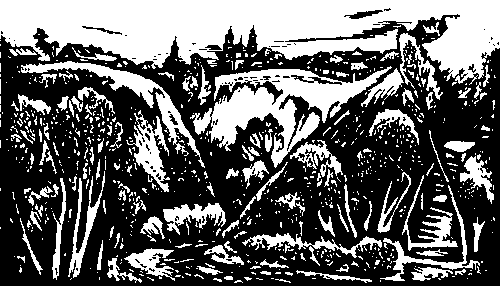 Выстрелы над яром - i_003.png