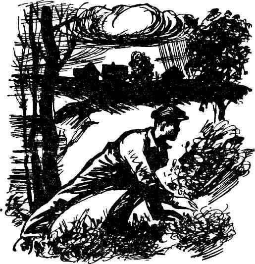 Чекисты рассказывают. Книга 6-я - img_4.jpg