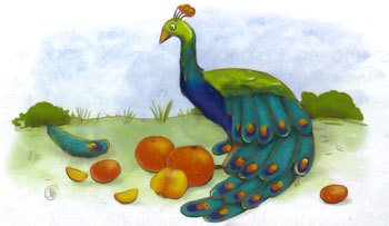 Морковка Семнадцатая [с иллюстрациями] - _15.jpg