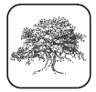 Вселенная внутри нас: что общего у камней, планет и людей - i_055.png