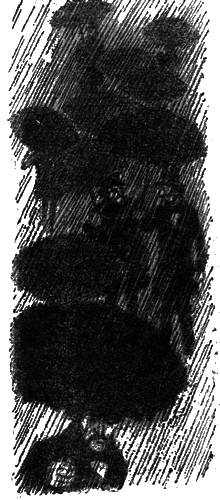 Собрание сочинений. Т. 14. Деньги - i_022.png
