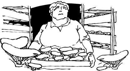 Мастер своего дела (сборник) - i_020.png