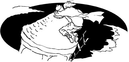 Мастер своего дела (сборник) - i_035.png