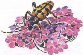 Великан на поляне или первые уроки экологической этики - _35.jpg