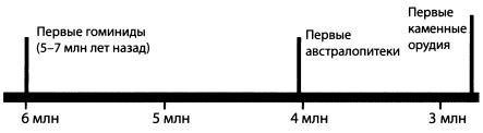 Эволюция человека. Книга 1. Обезьяны, кости и гены - i_025.jpg