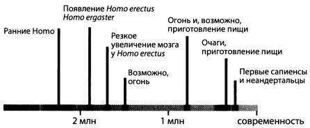 Эволюция человека. Книга 1. Обезьяны, кости и гены - i_026.jpg