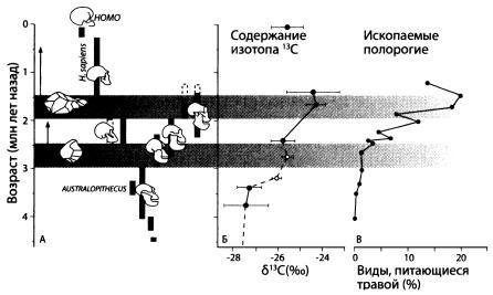 Эволюция человека. Книга 1. Обезьяны, кости и гены - i_027.jpg