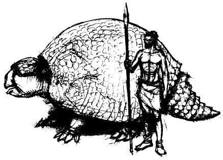 Эволюция человека. Книга 1. Обезьяны, кости и гены - i_055.jpg