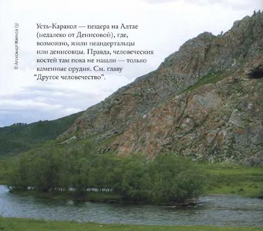 Эволюция человека. Книга 1. Обезьяны, кости и гены - i_090.jpg