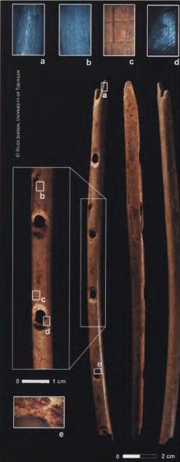 Эволюция человека. Книга 1. Обезьяны, кости и гены - i_097.jpg