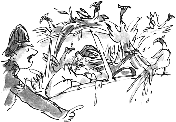 Дэнни - чемпион мира - i_080.png