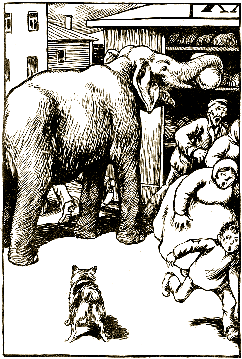Звери дедушки Дурова - i_011.png
