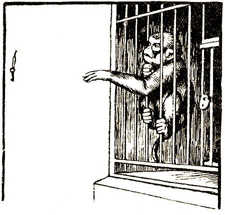 Звери дедушки Дурова - i_015.png