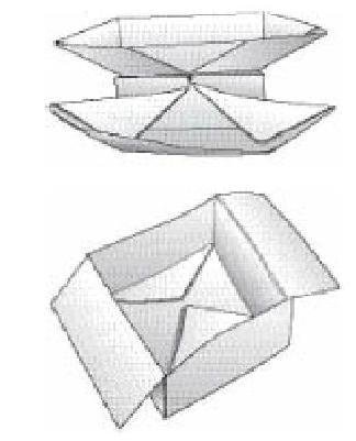 Величайшее Шоу на Земле: свидетельства эволюции. - gl8_origami1.JPG