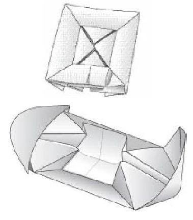 Величайшее Шоу на Земле: свидетельства эволюции. - gl8_origami2.JPG