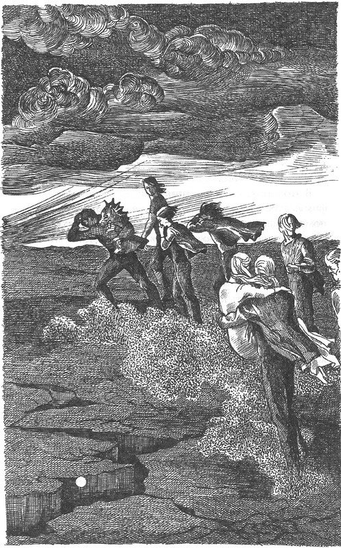 Лес потерянных - image09.jpg