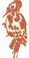 Медовый дождь - i_053.png