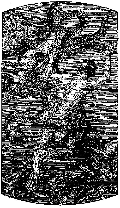 Человек-амфибия (повести) - i_005.png