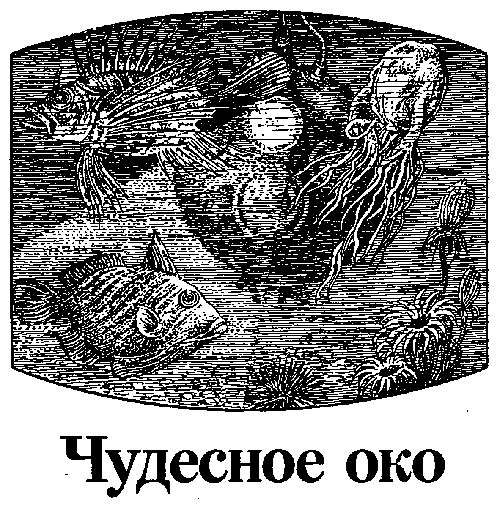 Человек-амфибия (повести) - i_012.png