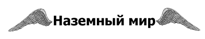 Румо и чудеса в темноте. Книга I - nazemni_mir.png
