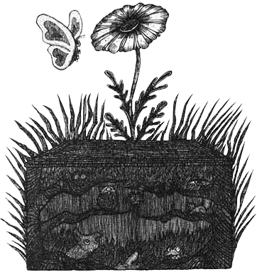 Румо и чудеса в темноте. Книга I - _21_shkatulk.png