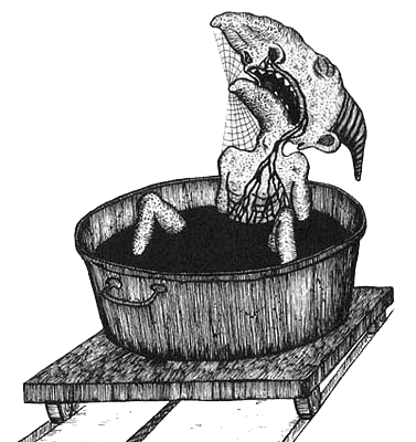 Румо и чудеса в темноте. Книга I - _3_karlik.png_0