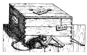 101 головоломка - _88.jpg