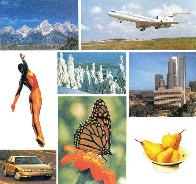 Основы рисунка для учащихся 5-8 классов - pic_19.jpg