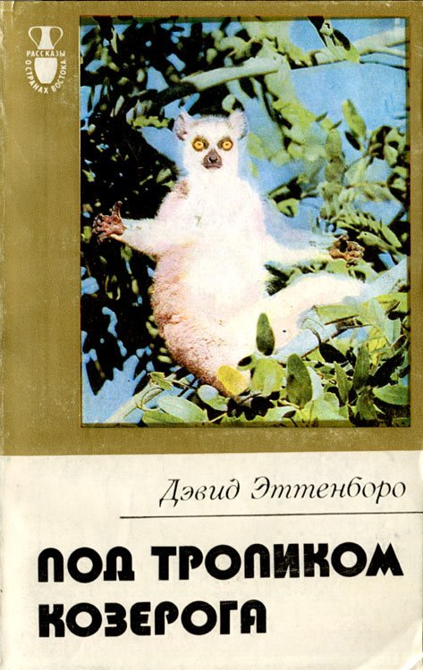 Под тропиком Козерога - i_023.jpg