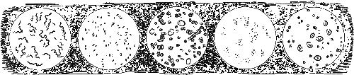 Мир микробов - i_002.png