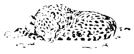 Встречи в тайге - i_009.png