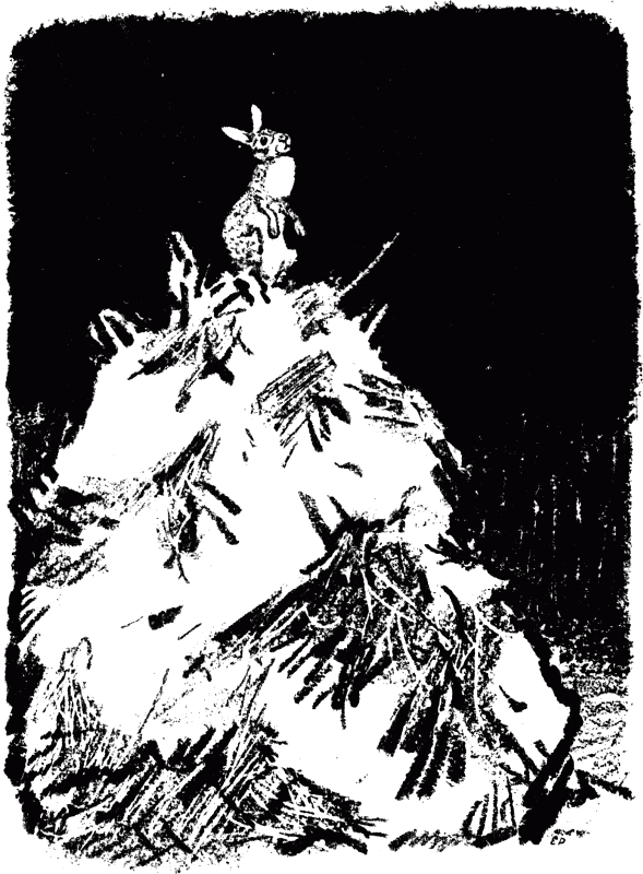 Говорящий грач (сборник рассказов) - i_015.png