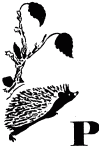 Говорящий грач (сборник рассказов) - i_018.png