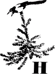 Говорящий грач (сборник рассказов) - i_019.png