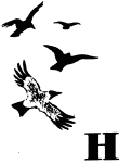 Говорящий грач (сборник рассказов) - i_033.png