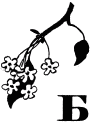 Говорящий грач (сборник рассказов) - i_039.png