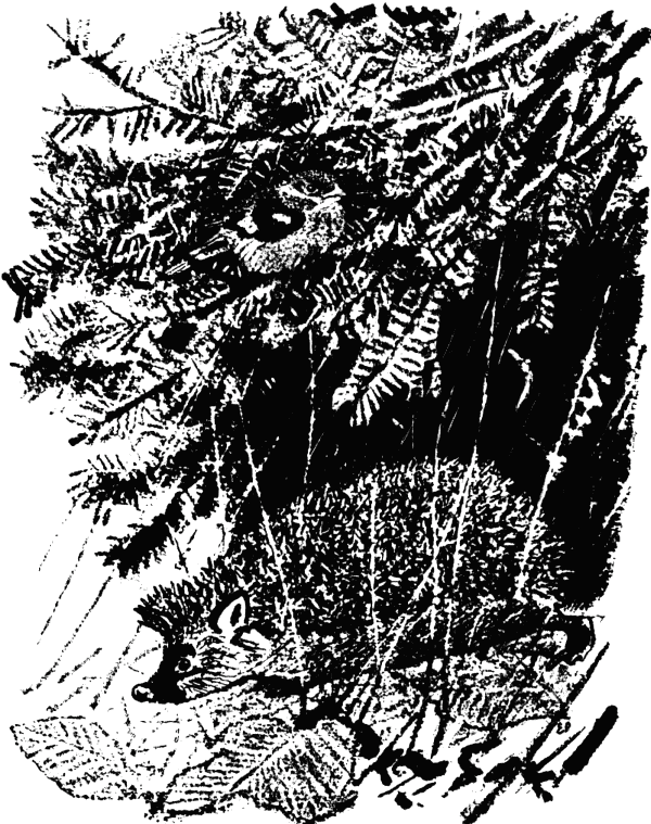 Говорящий грач (сборник рассказов) - i_043.png