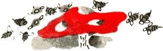 Бабушка, будь моей дочкой! - img05.png