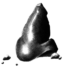 Сталинский нос - i_029.png