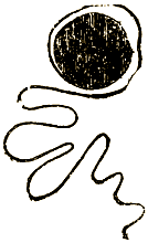 Маленькие дикари (Рисунки автора) - i_035.png