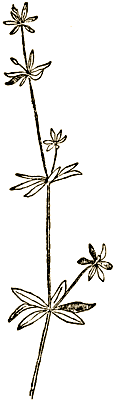 Маленькие дикари (Рисунки автора) - i_046.png