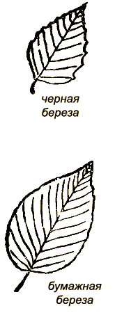 Маленькие дикари (Рисунки автора) - i_051.png