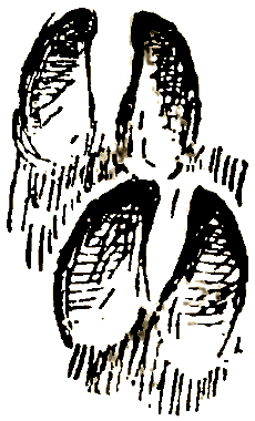 Маленькие дикари (Рисунки автора) - i_063.png