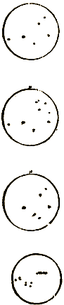 Маленькие дикари (Рисунки автора) - i_073.png