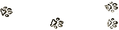 Маленькие дикари (Рисунки автора) - i_080.png