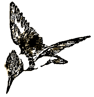 Маленькие дикари (Рисунки автора) - i_082.png
