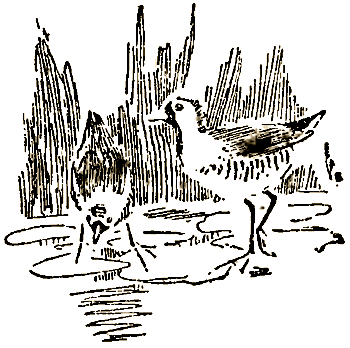 Маленькие дикари (Рисунки автора) - i_084.png